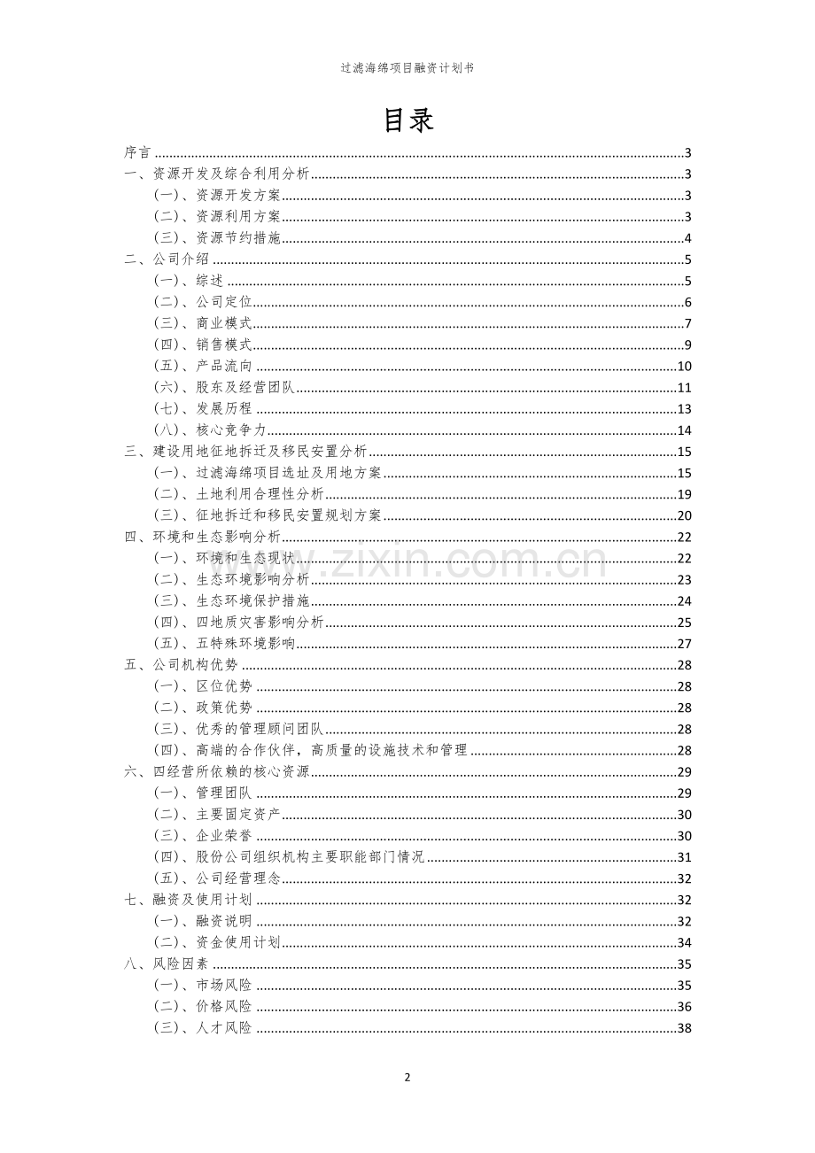 过滤海绵项目融资计划书.docx_第2页