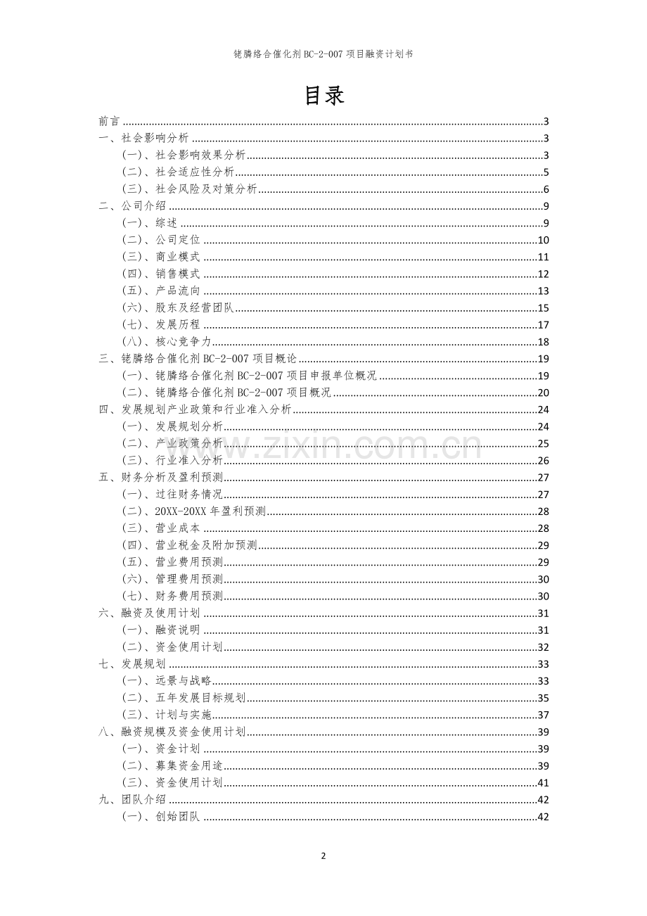 铑膦络合催化剂BC-2-007项目融资计划书.docx_第2页