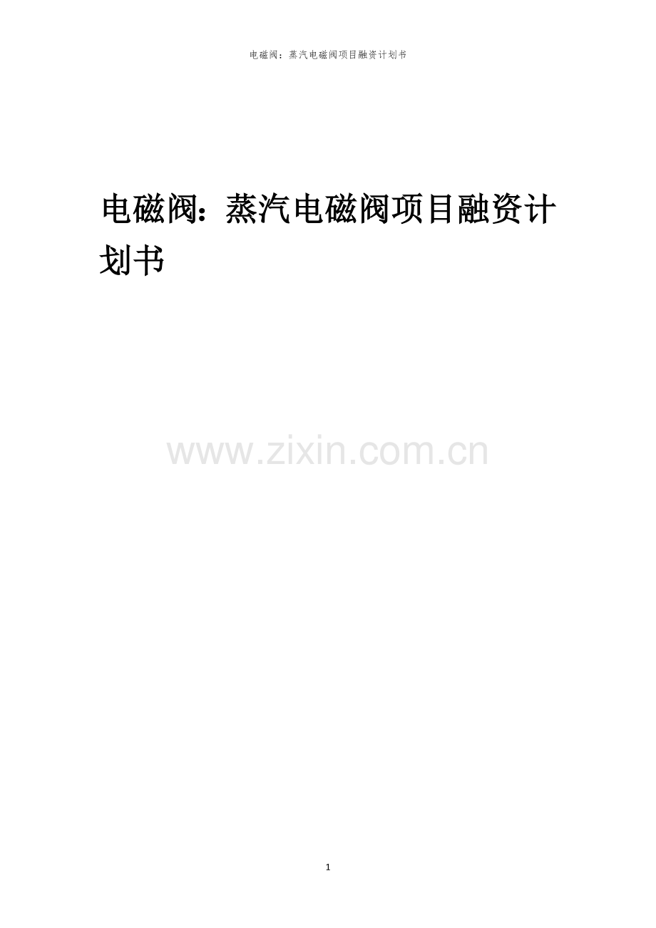 电磁阀：蒸汽电磁阀项目融资计划书.docx_第1页