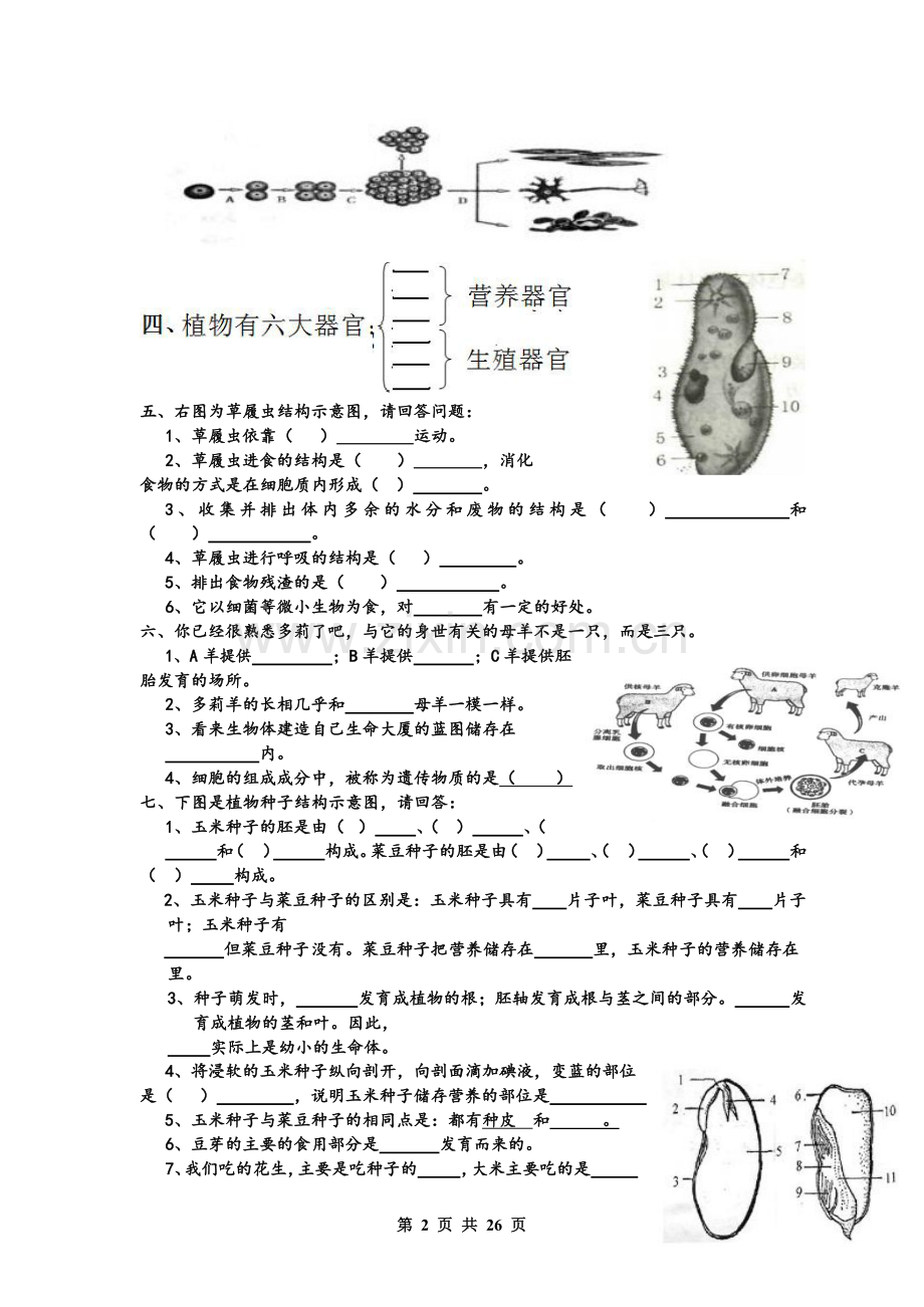 初中生物识图专题训练---全四册.docx_第2页