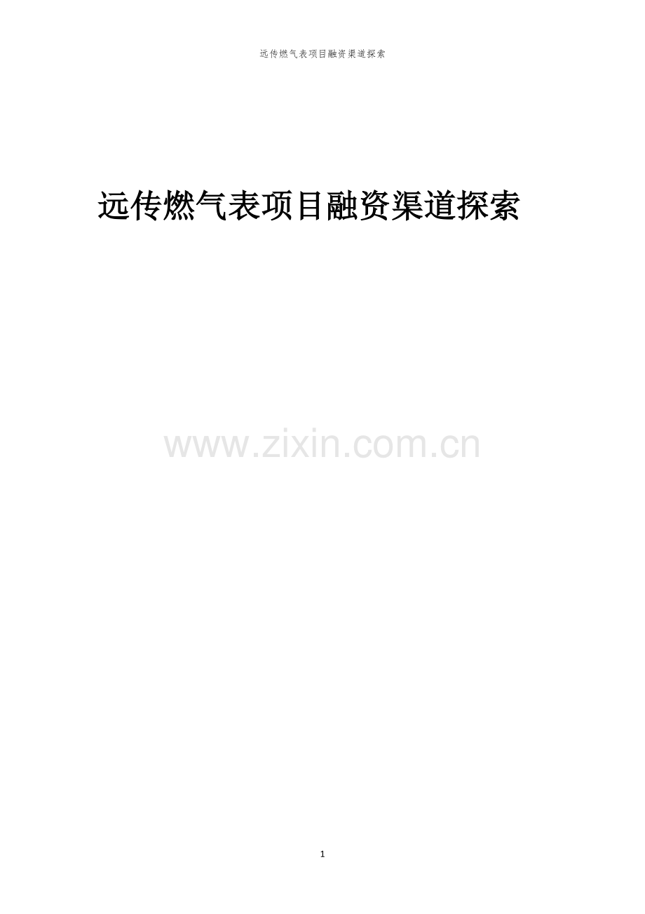 远传燃气表项目融资渠道探索.docx_第1页