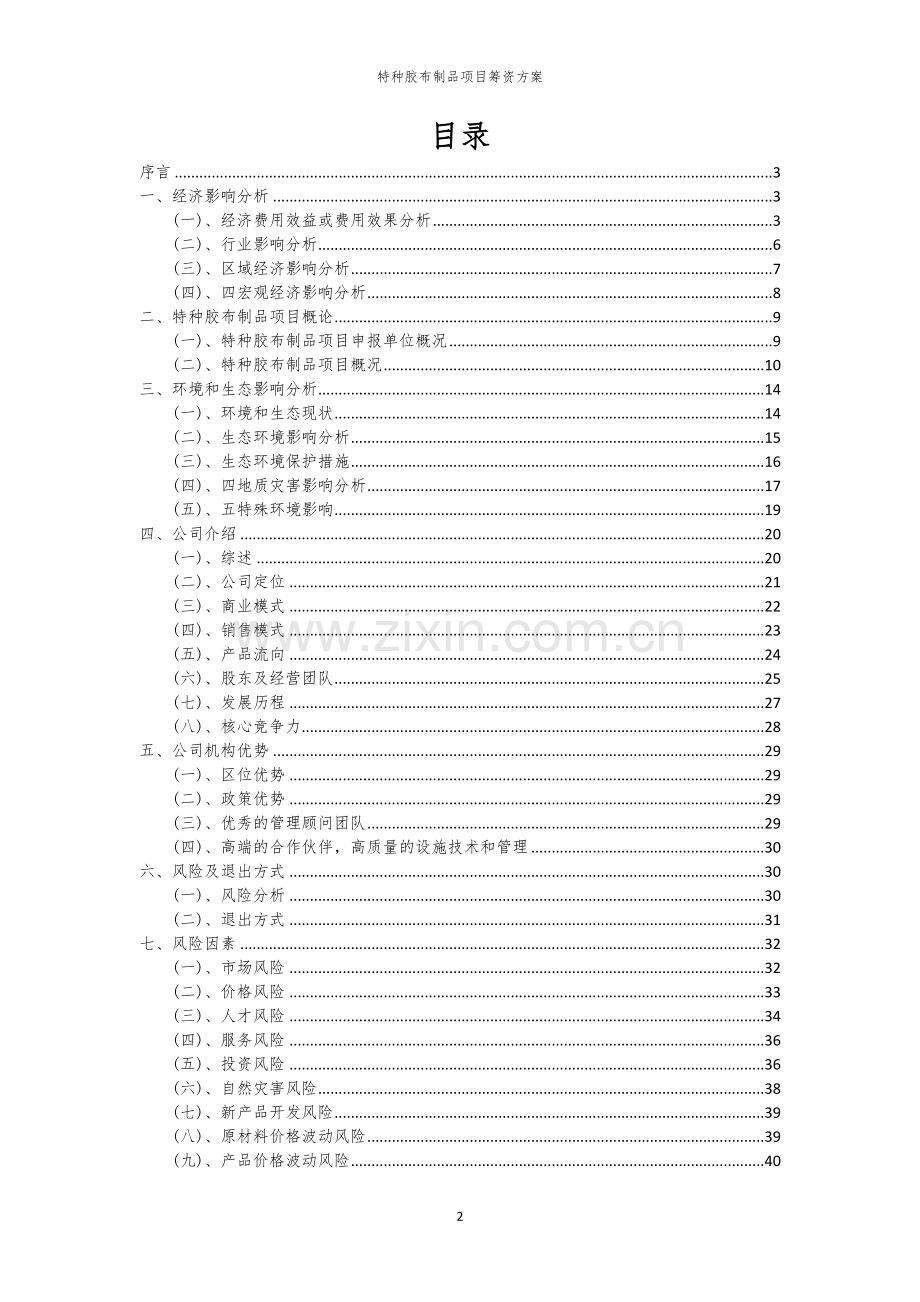 特种胶布制品项目筹资方案.docx_第2页