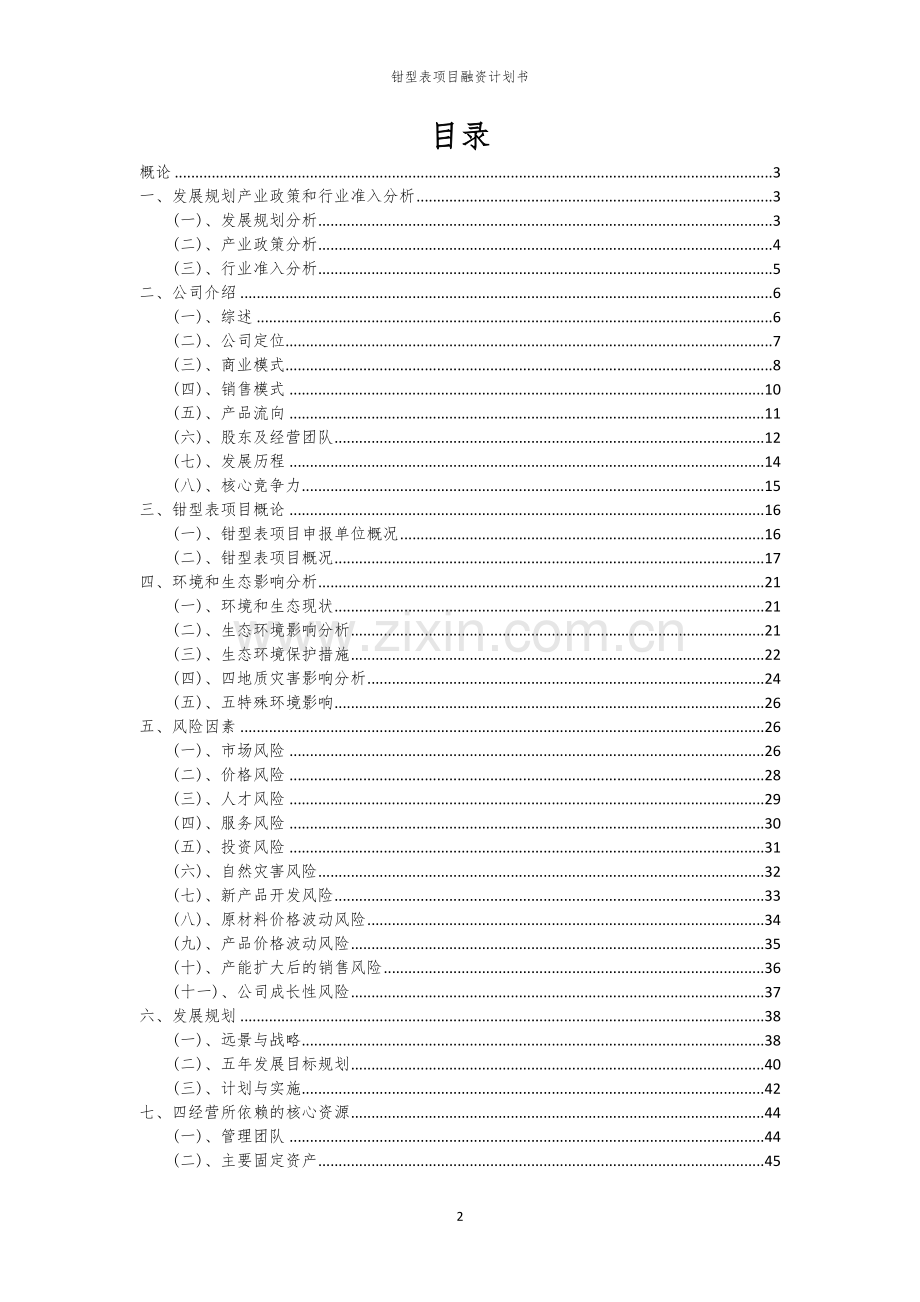 钳型表项目融资计划书.docx_第2页