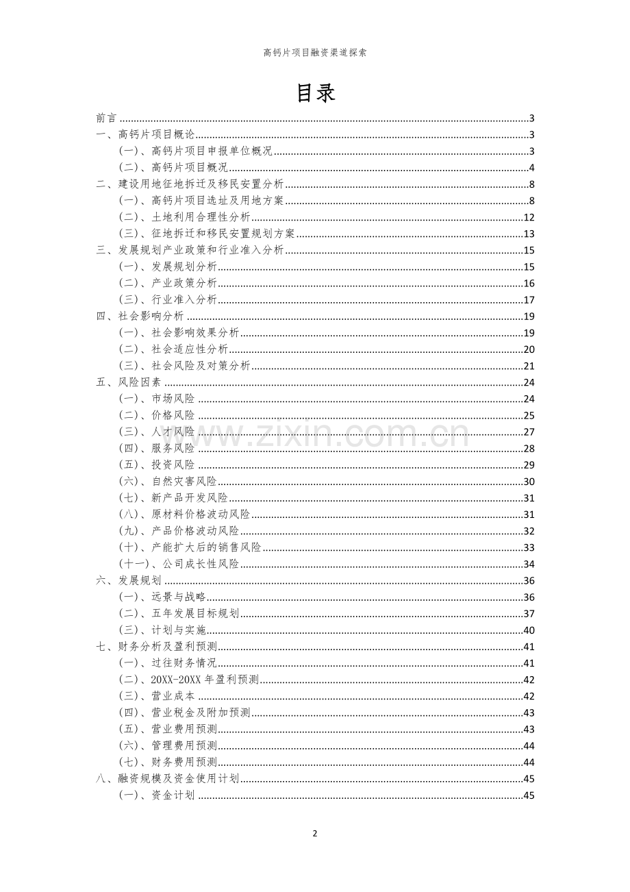 高钙片项目融资渠道探索.docx_第2页