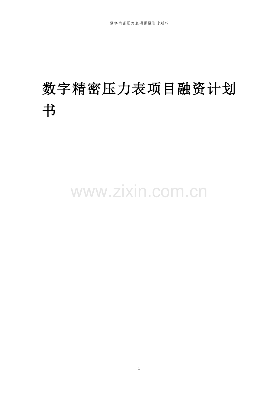 数字精密压力表项目融资计划书.docx_第1页
