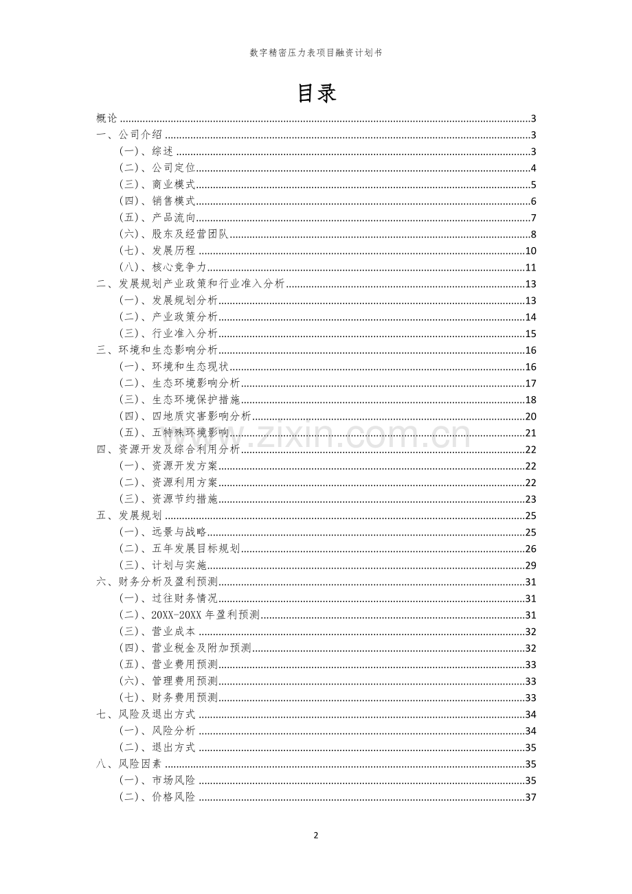 数字精密压力表项目融资计划书.docx_第2页