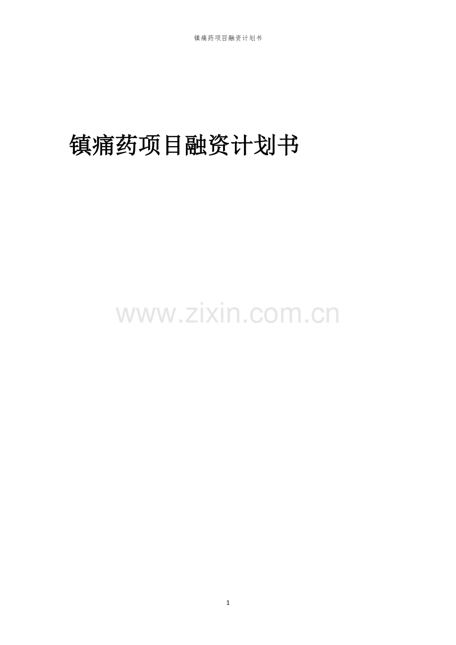 镇痛药项目融资计划书.docx_第1页