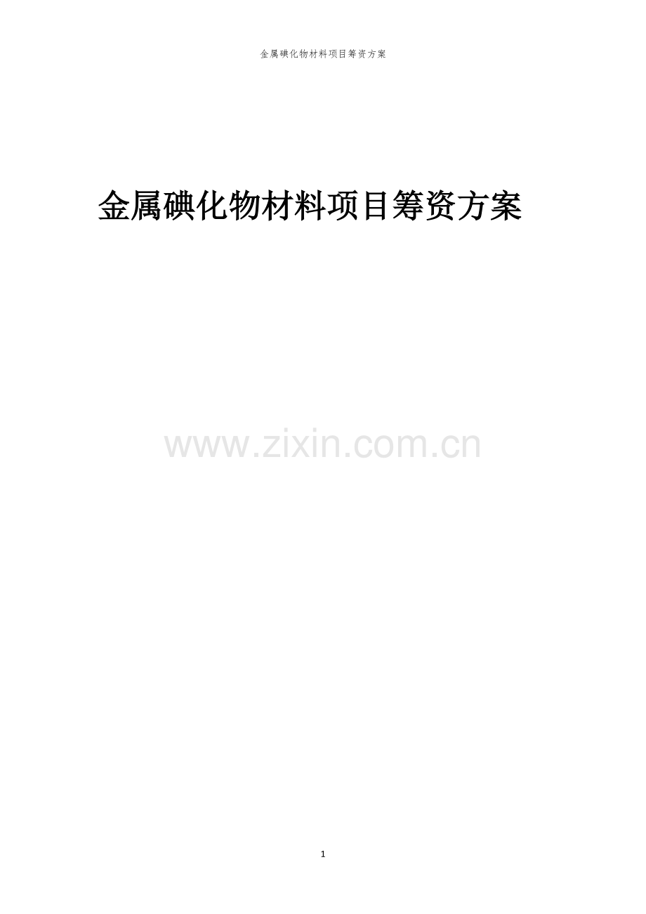 金属碘化物材料项目筹资方案.docx_第1页