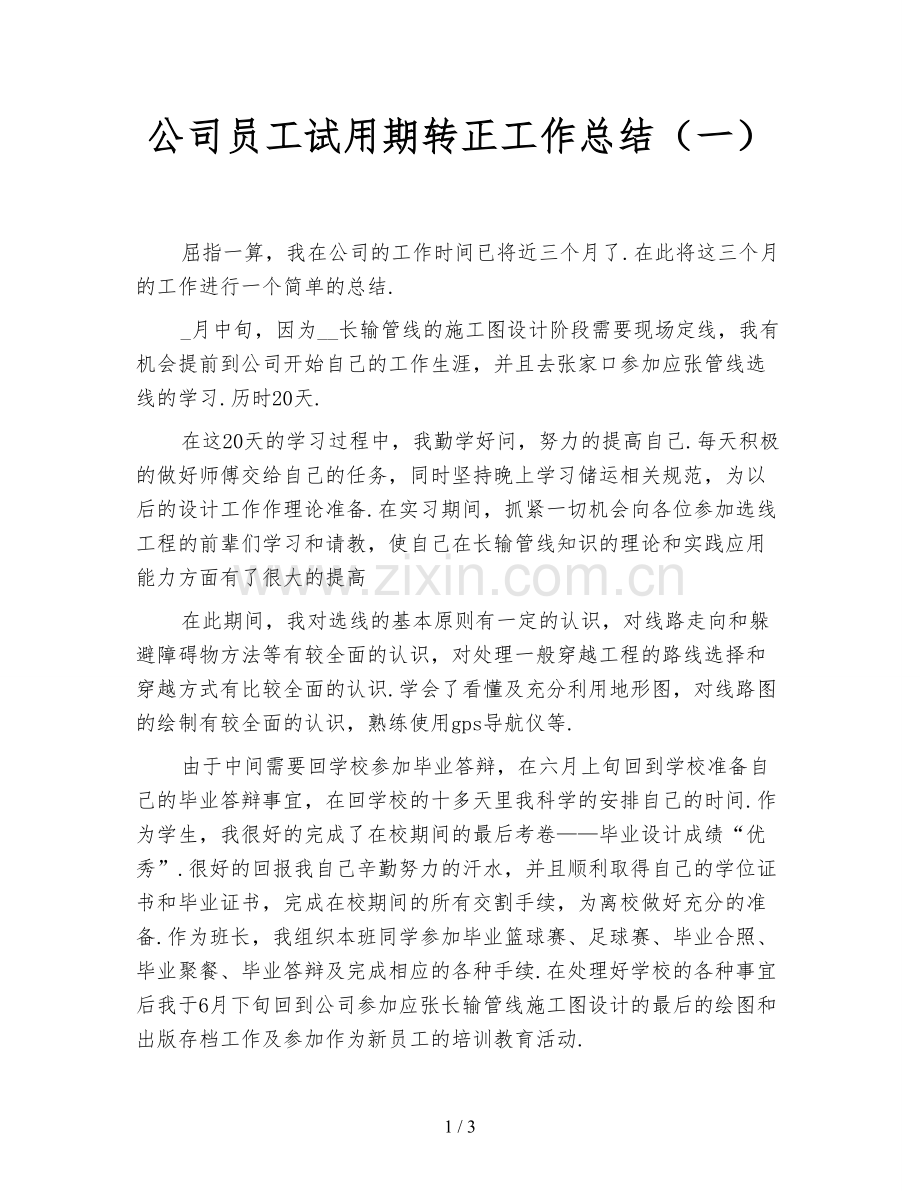 公司员工试用期转正工作总结(一).doc_第1页