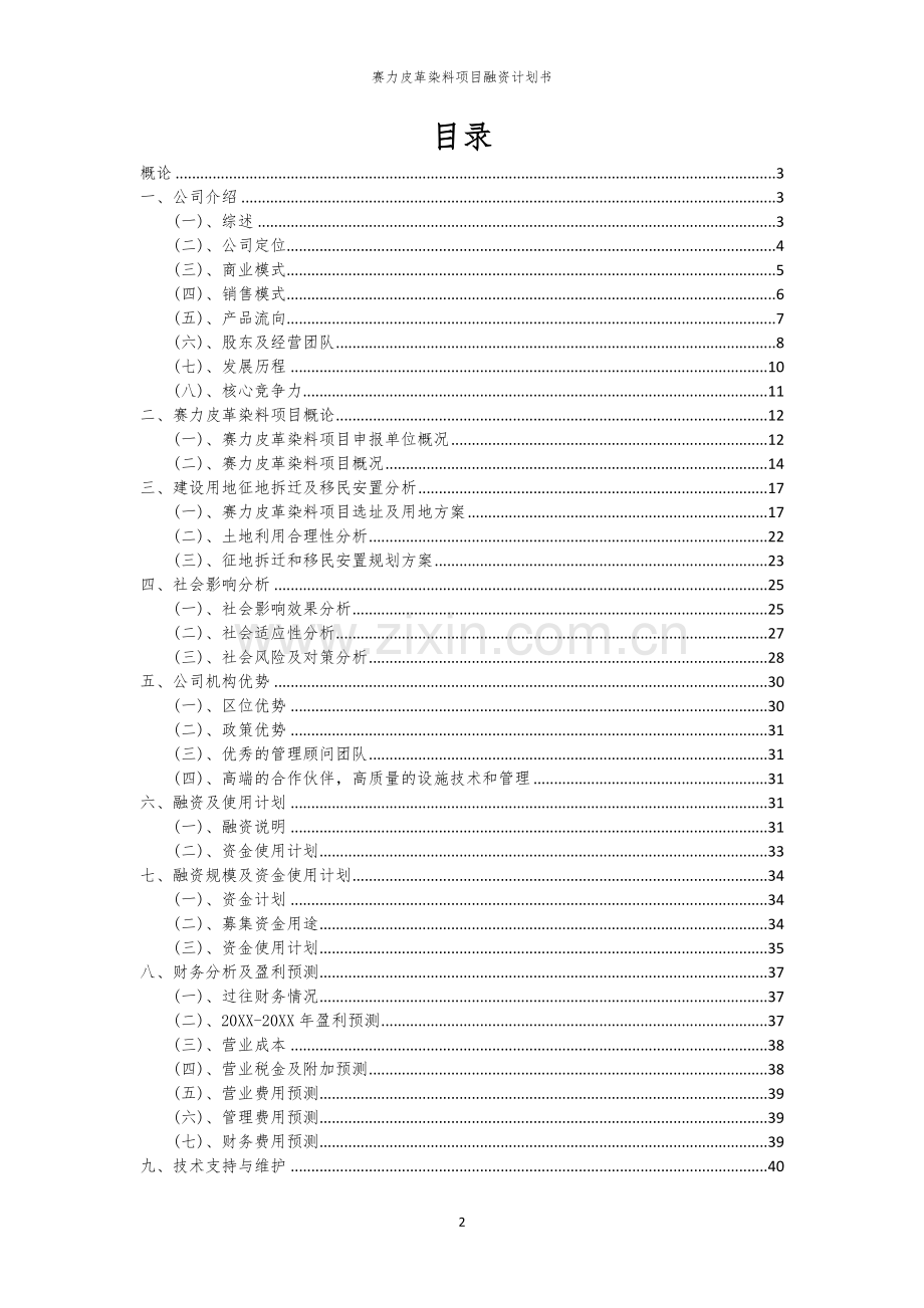 赛力皮革染料项目融资计划书.docx_第2页