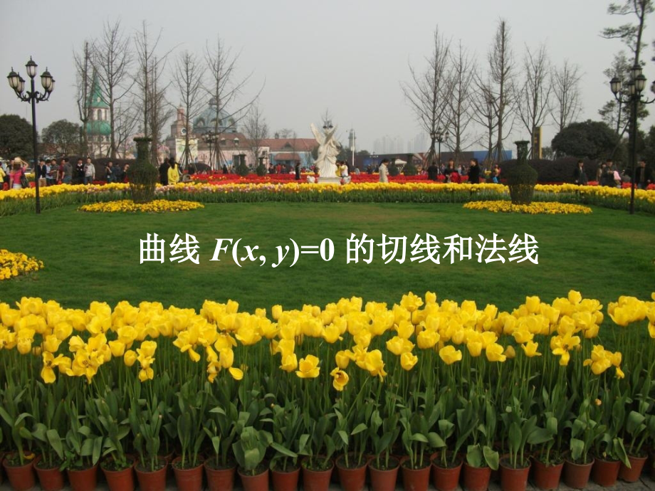 曲线Fx-y=0的切线与法线方程教学讲义.ppt_第1页