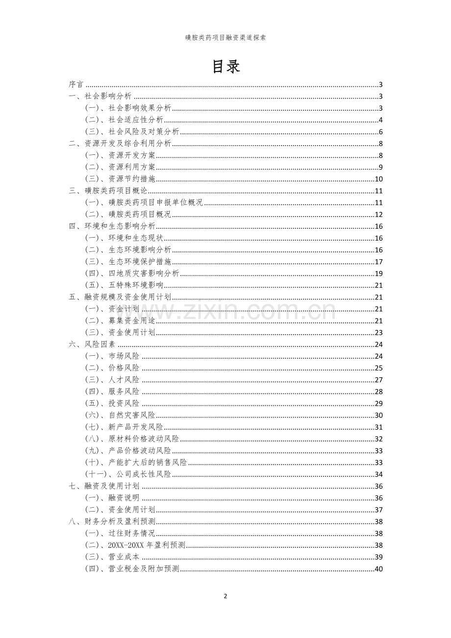 磺胺类药项目融资渠道探索.docx_第2页