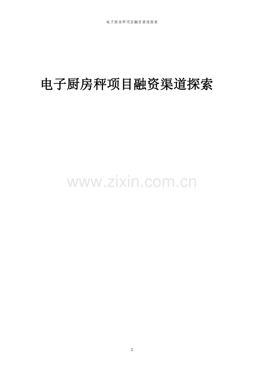 电子厨房秤项目融资渠道探索.docx_第1页