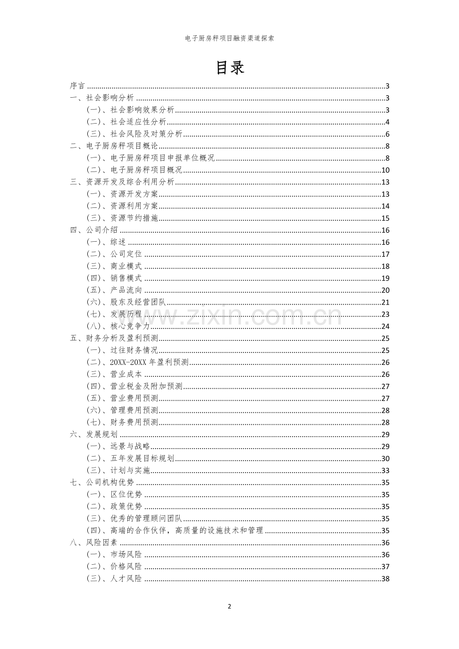电子厨房秤项目融资渠道探索.docx_第2页