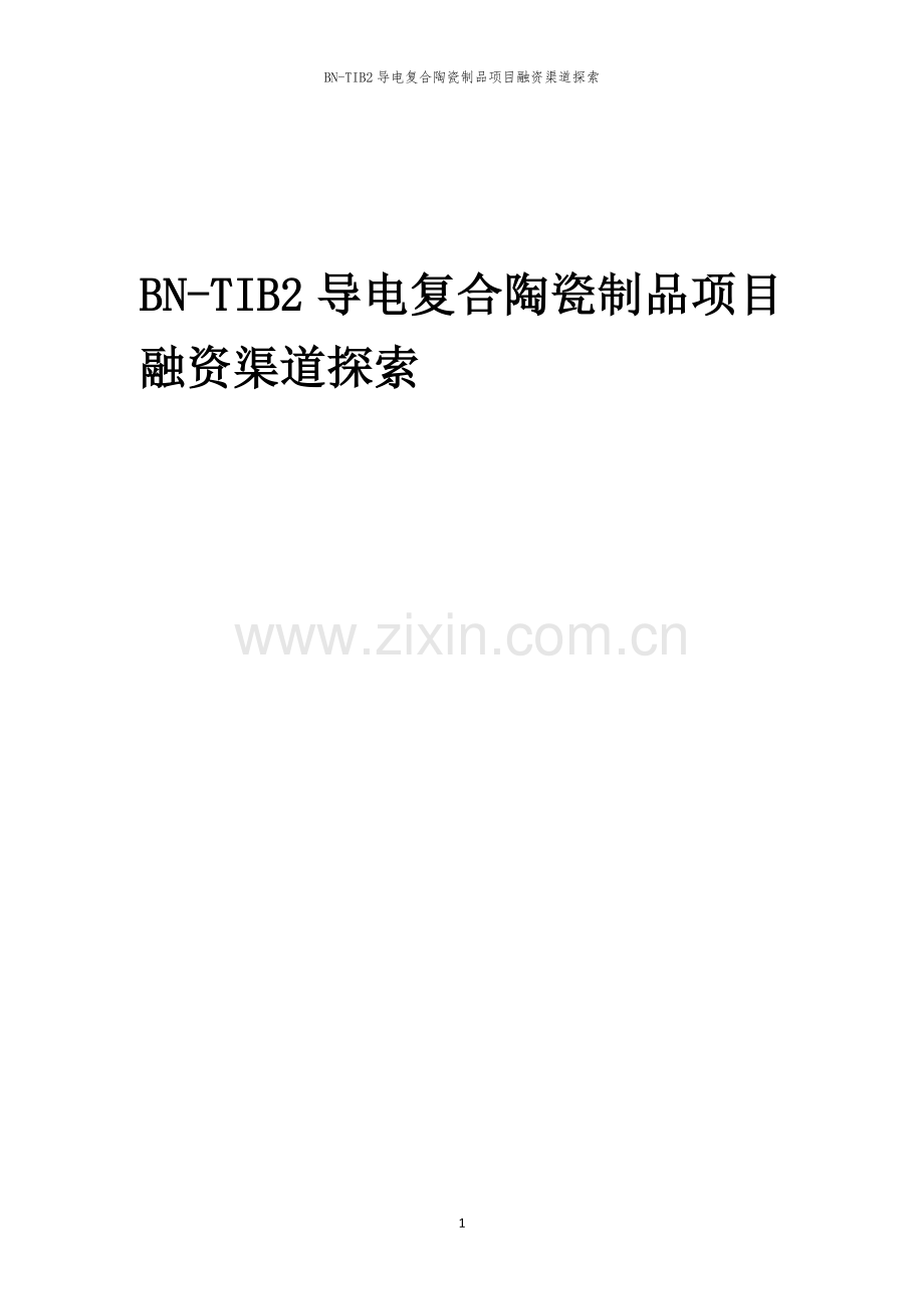 BN-TIB2导电复合陶瓷制品项目融资渠道探索.docx_第1页