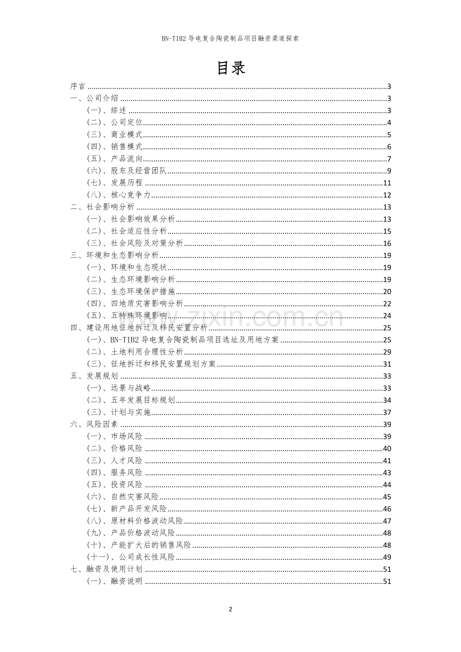 BN-TIB2导电复合陶瓷制品项目融资渠道探索.docx_第2页