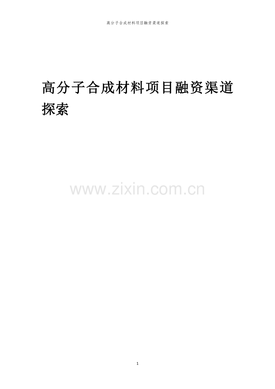高分子合成材料项目融资渠道探索.docx_第1页