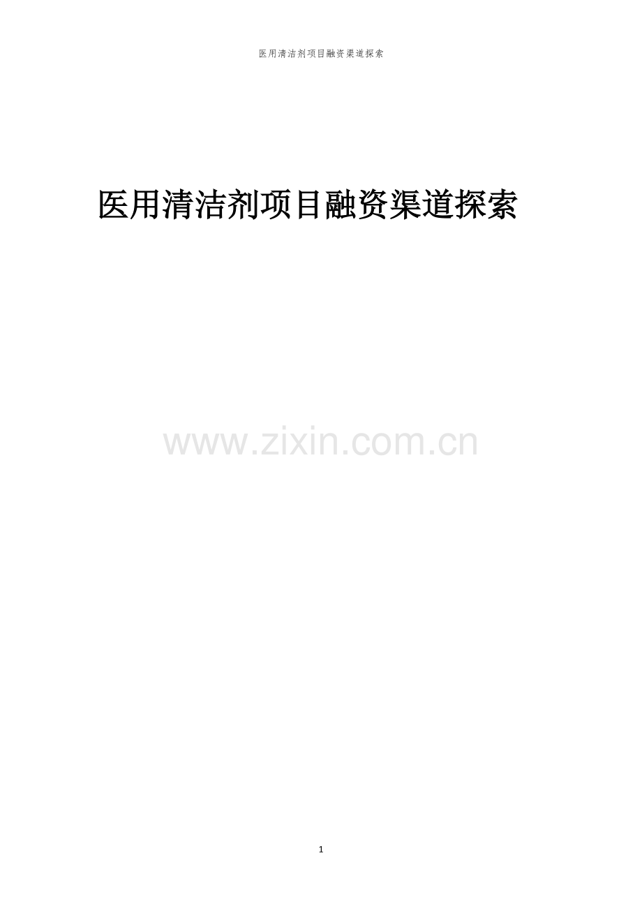 医用清洁剂项目融资渠道探索.docx_第1页