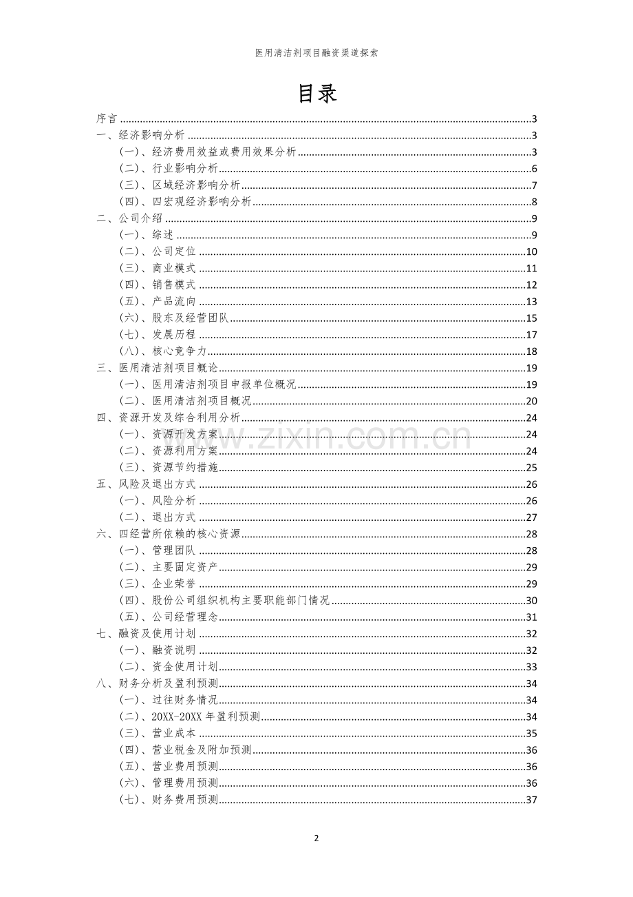 医用清洁剂项目融资渠道探索.docx_第2页