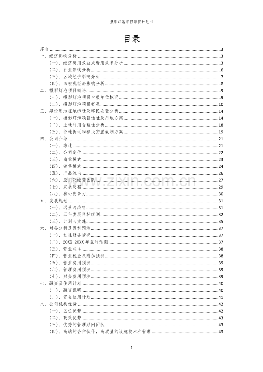摄影灯泡项目融资计划书.docx_第2页