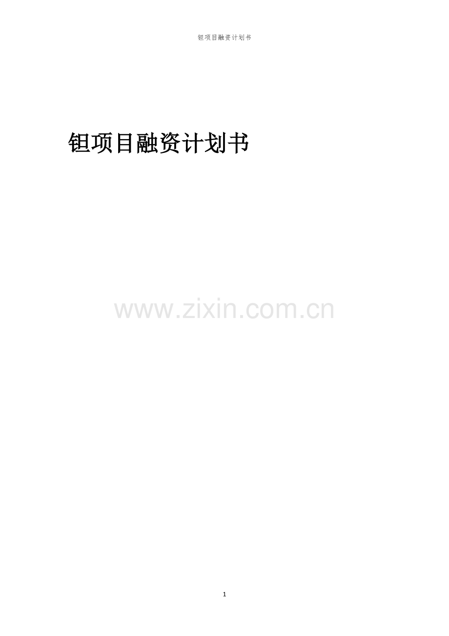 钽项目融资计划书.docx_第1页