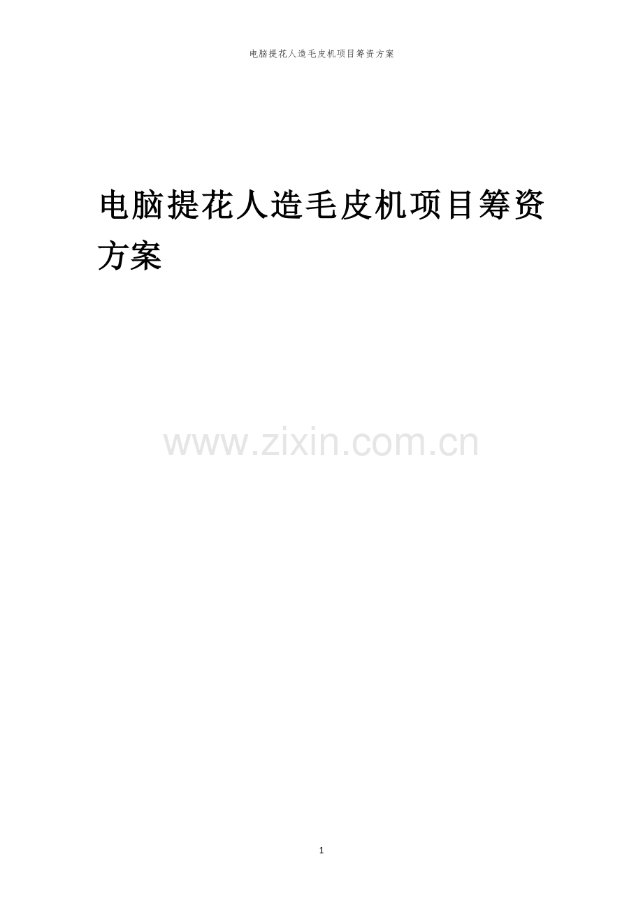电脑提花人造毛皮机项目筹资方案.docx_第1页