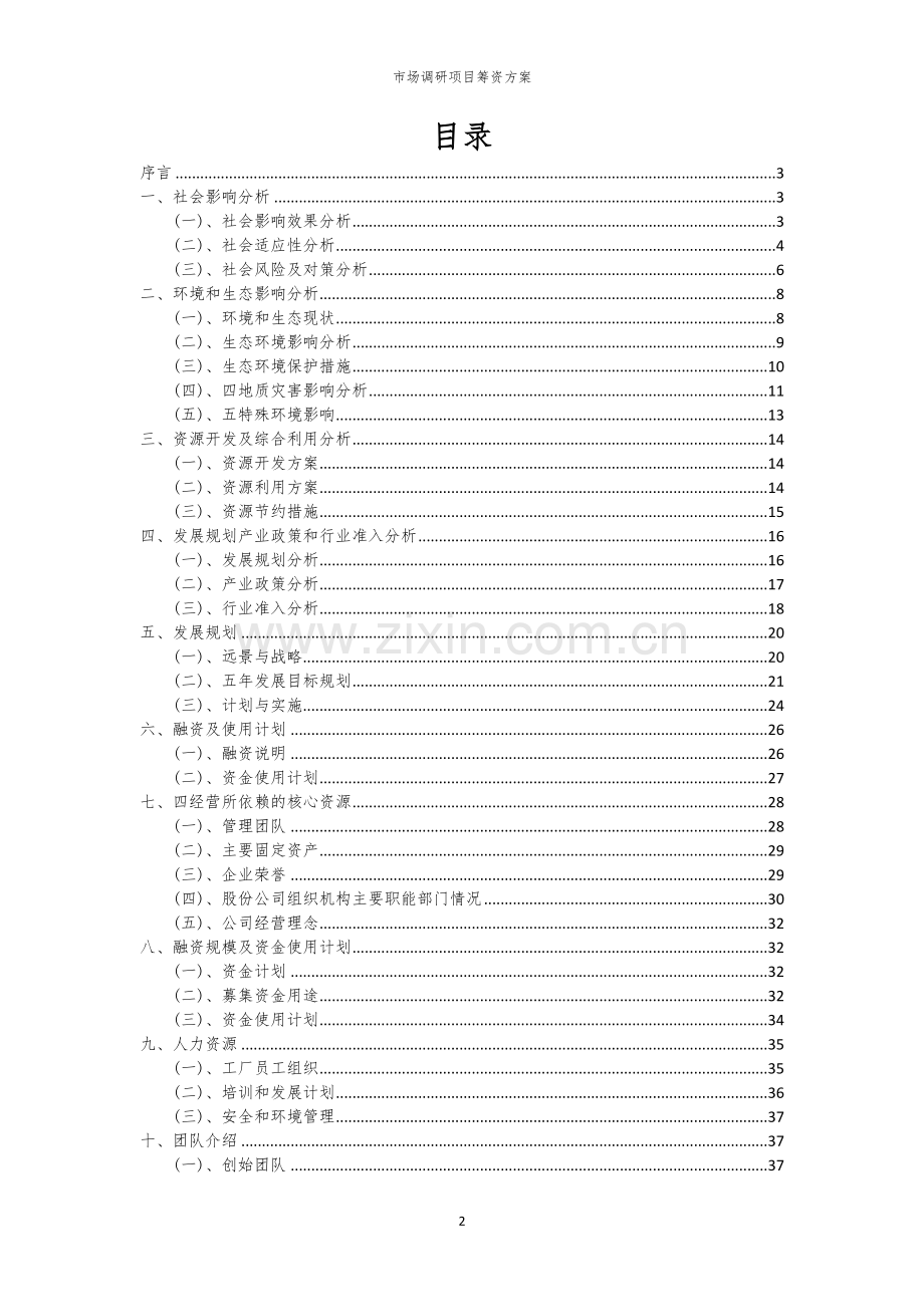 市场调研项目筹资方案.docx_第2页