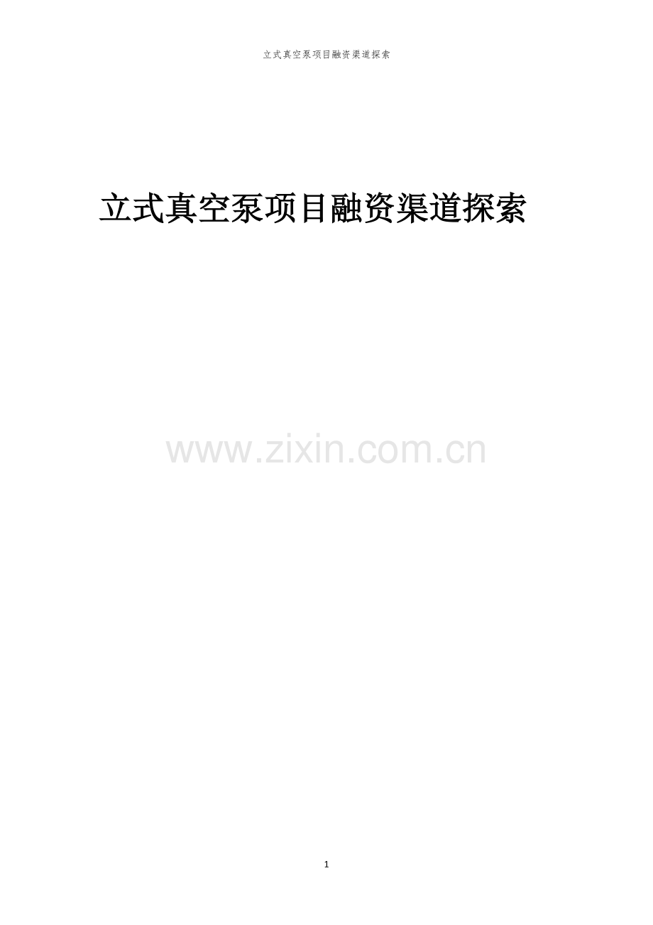 立式真空泵项目融资渠道探索.docx_第1页
