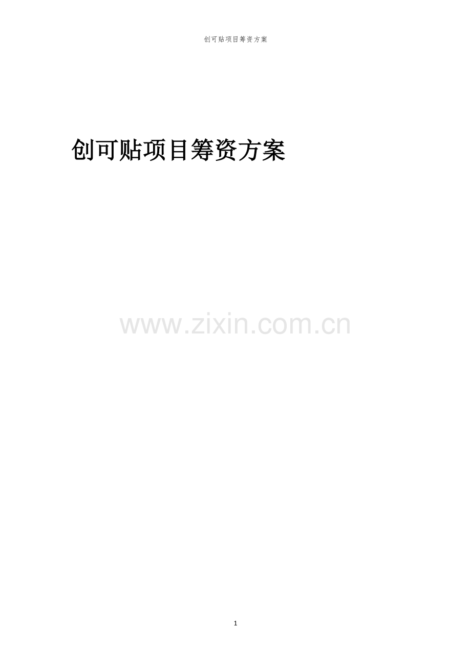 创可贴项目筹资方案.docx_第1页