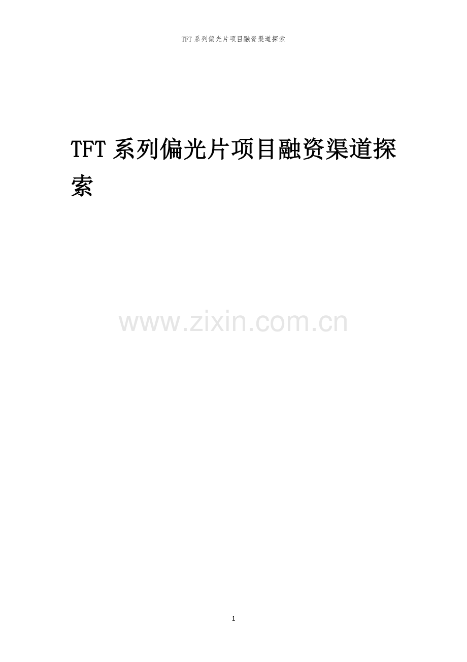 TFT系列偏光片项目融资渠道探索.docx_第1页