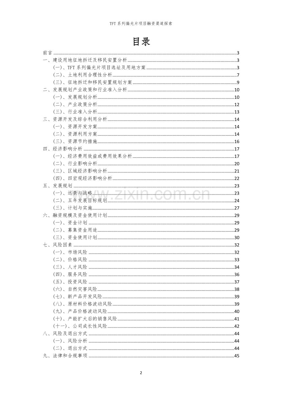TFT系列偏光片项目融资渠道探索.docx_第2页