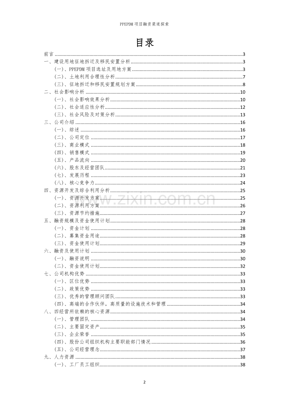 PPEPDM项目融资渠道探索.docx_第2页