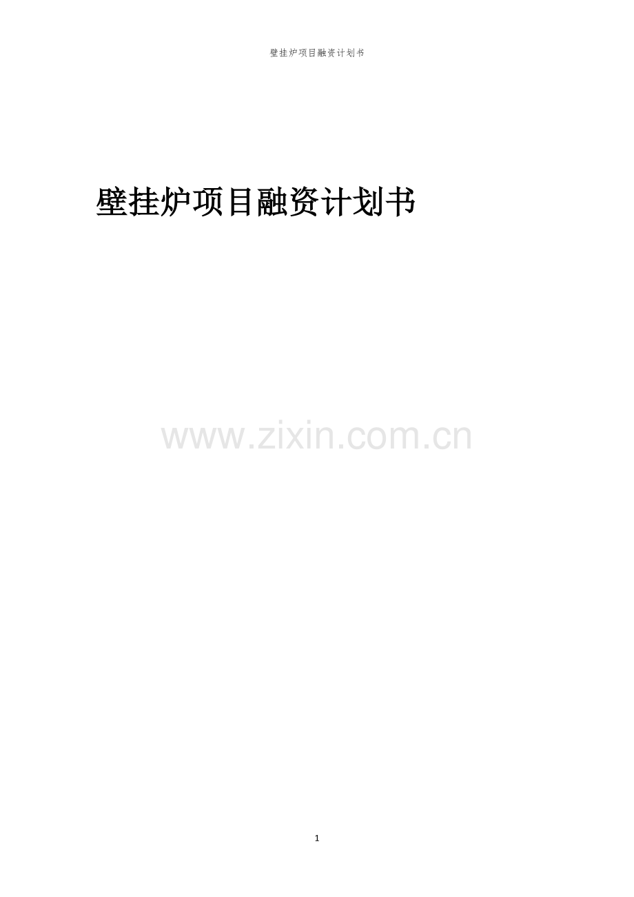 壁挂炉项目融资计划书.docx_第1页