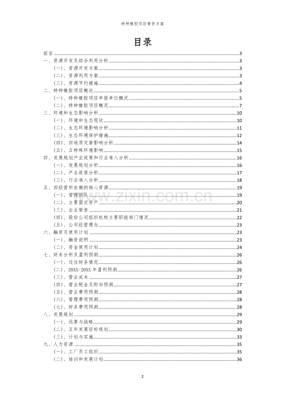 特种橡胶项目筹资方案.docx_第2页