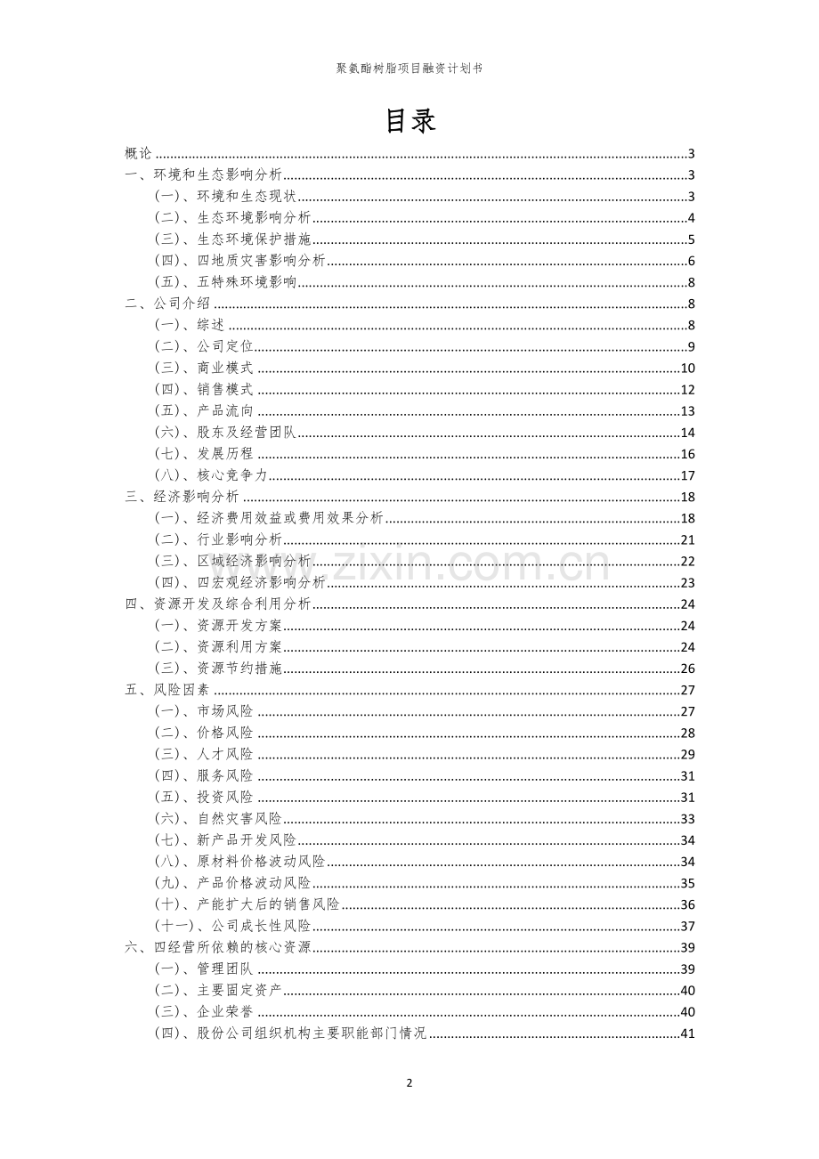聚氨酯树脂项目融资计划书.docx_第2页