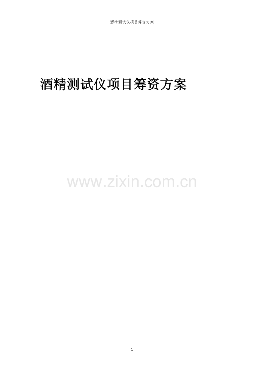 酒精测试仪项目筹资方案.docx_第1页