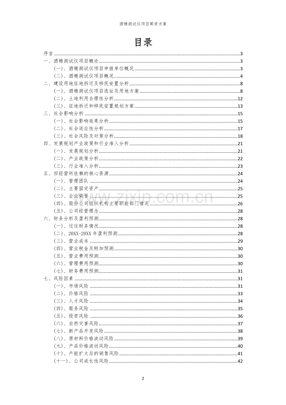 酒精测试仪项目筹资方案.docx_第2页