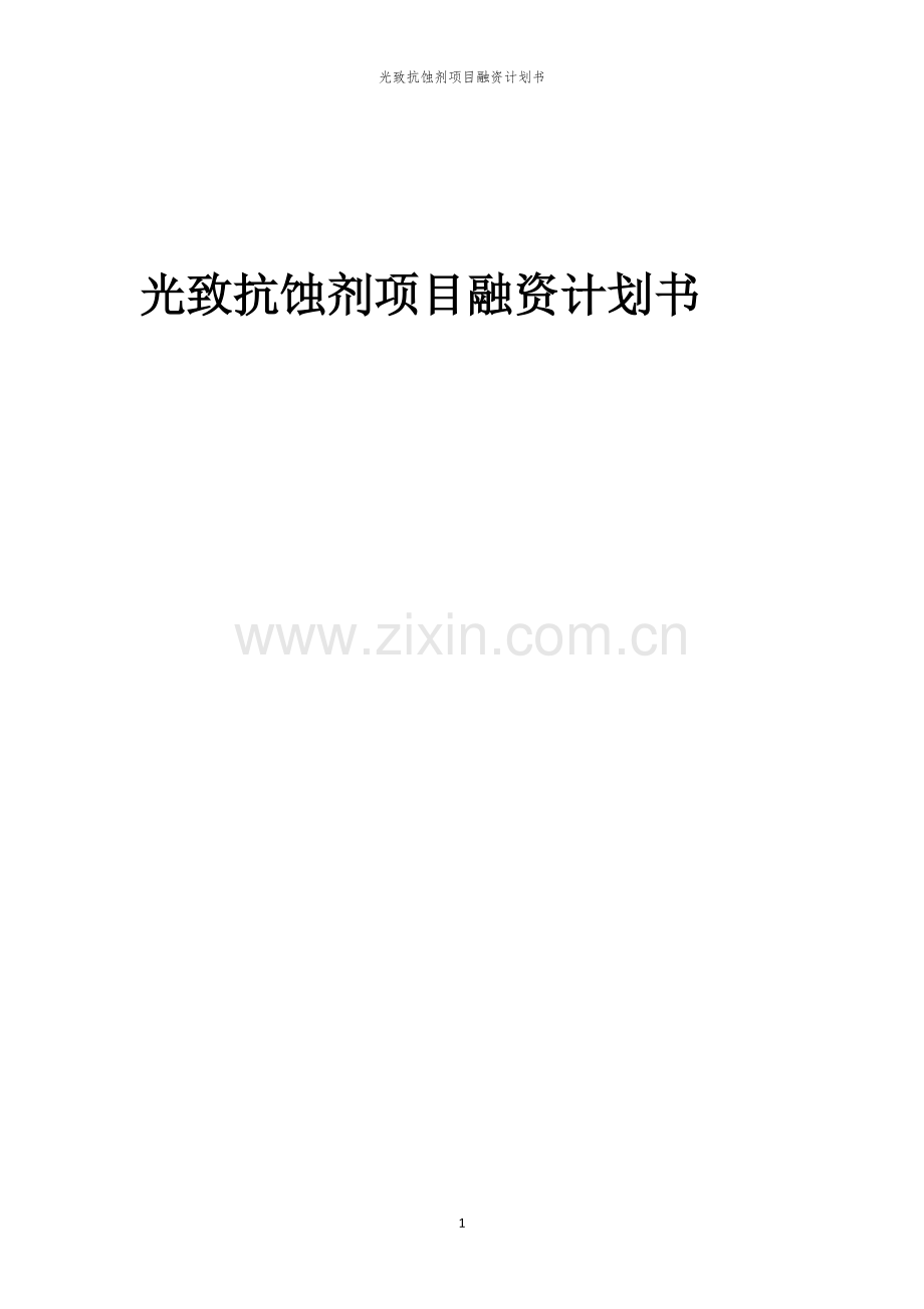 光致抗蚀剂项目融资计划书.docx_第1页