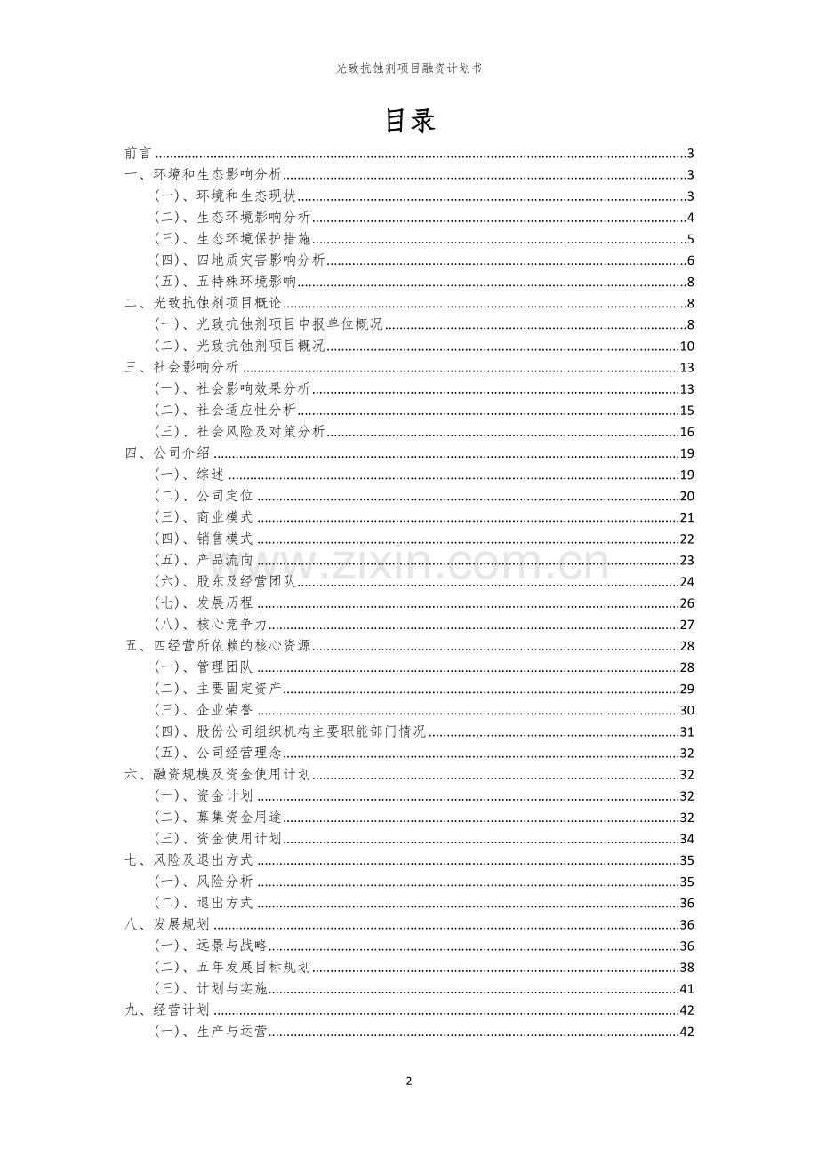 光致抗蚀剂项目融资计划书.docx_第2页