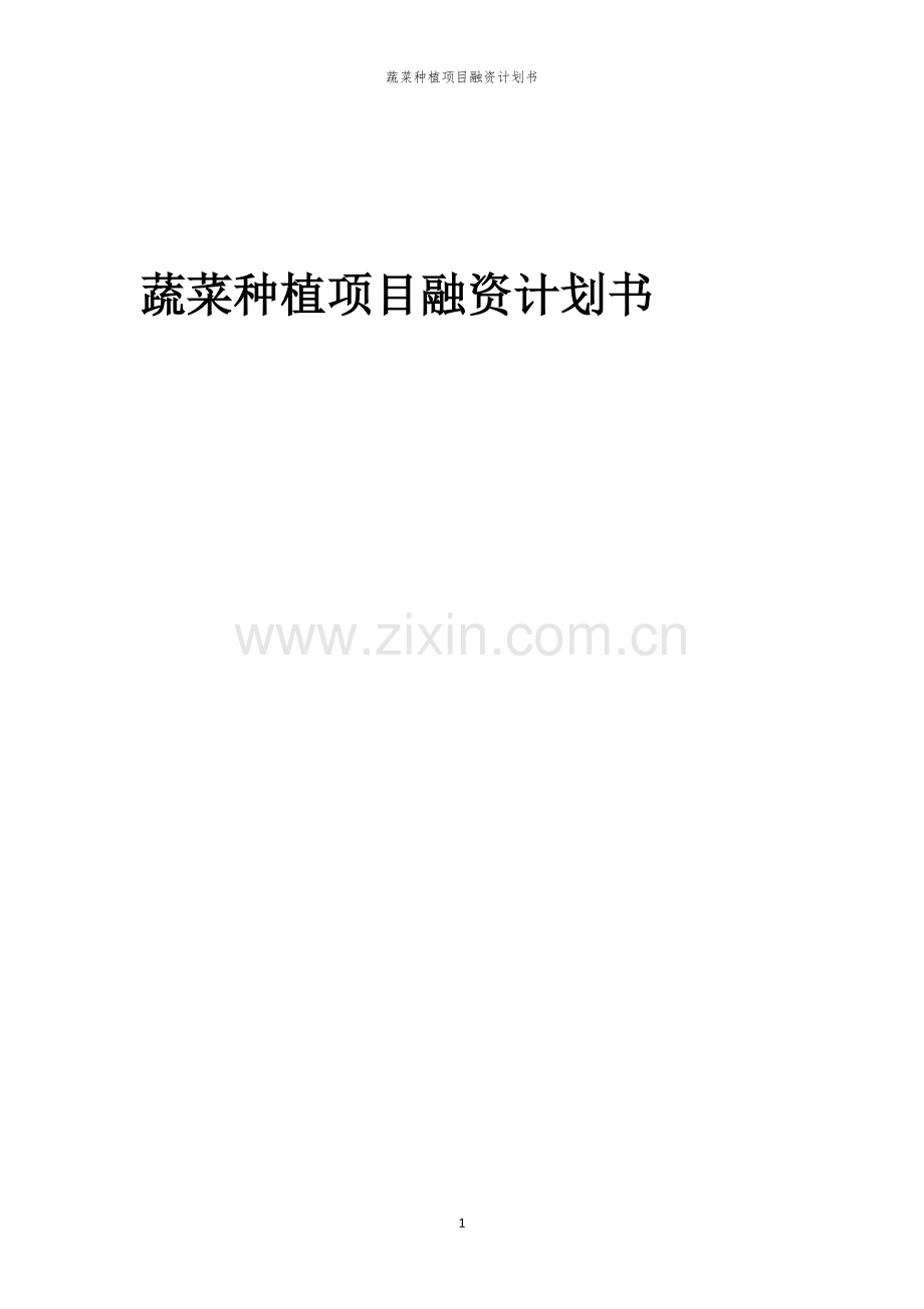 蔬菜种植项目融资计划书.docx_第1页