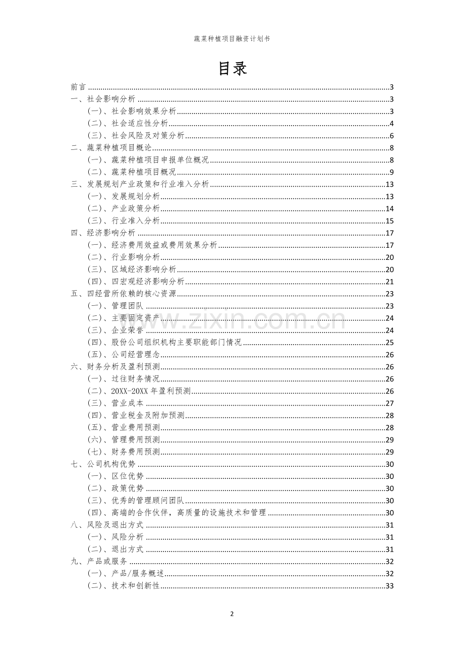 蔬菜种植项目融资计划书.docx_第2页
