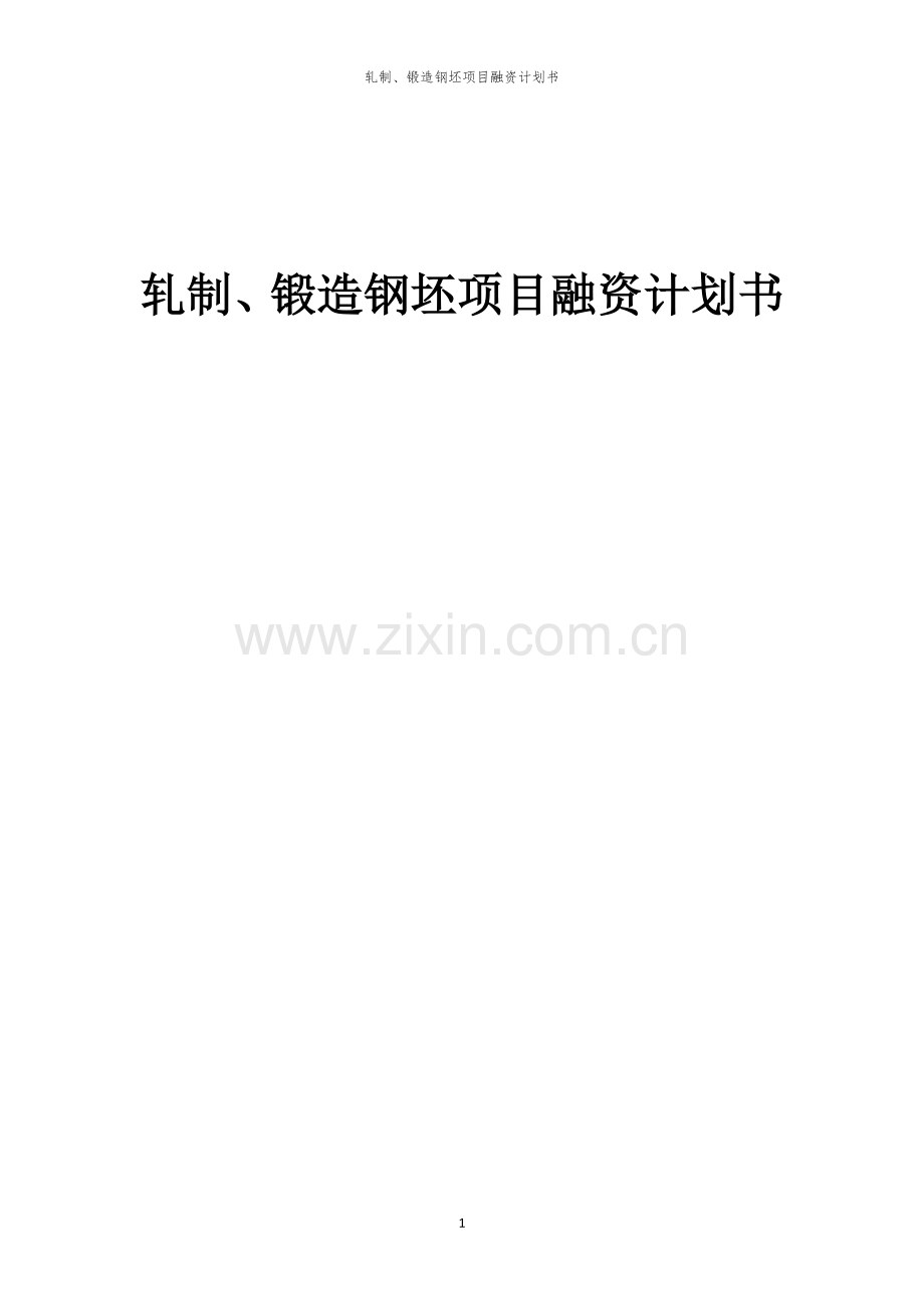 轧制、锻造钢坯项目融资计划书.docx_第1页