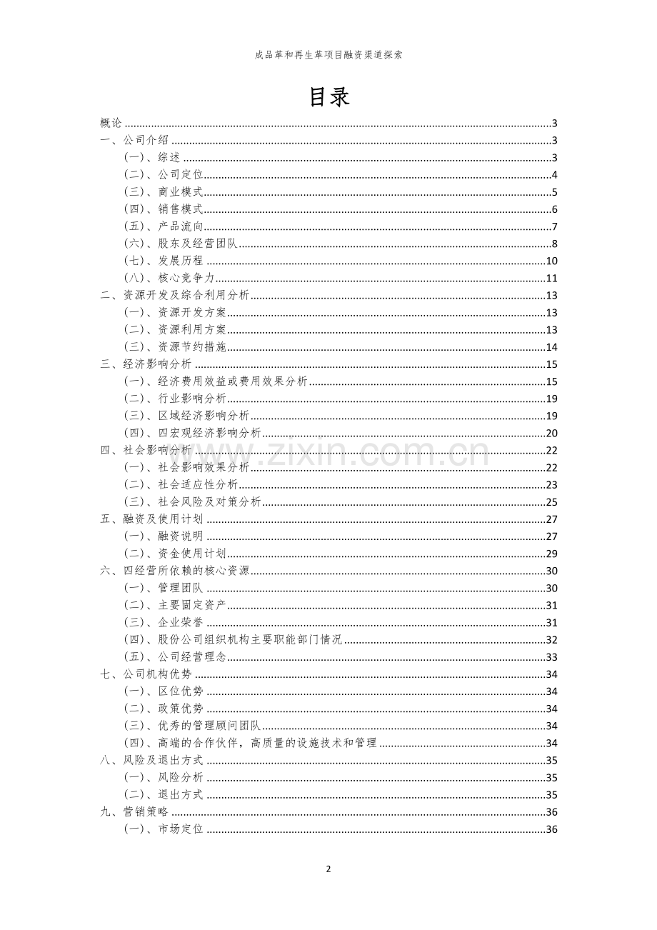 成品革和再生革项目融资渠道探索.docx_第2页