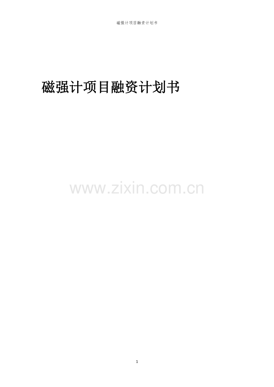 磁强计项目融资计划书.docx_第1页