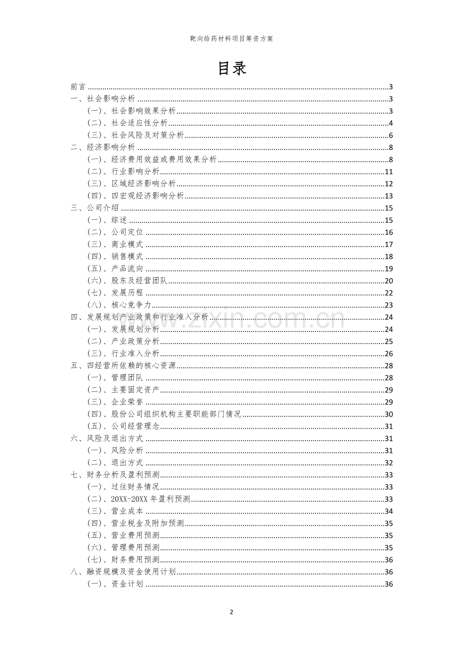 靶向给药材料项目筹资方案.docx_第2页