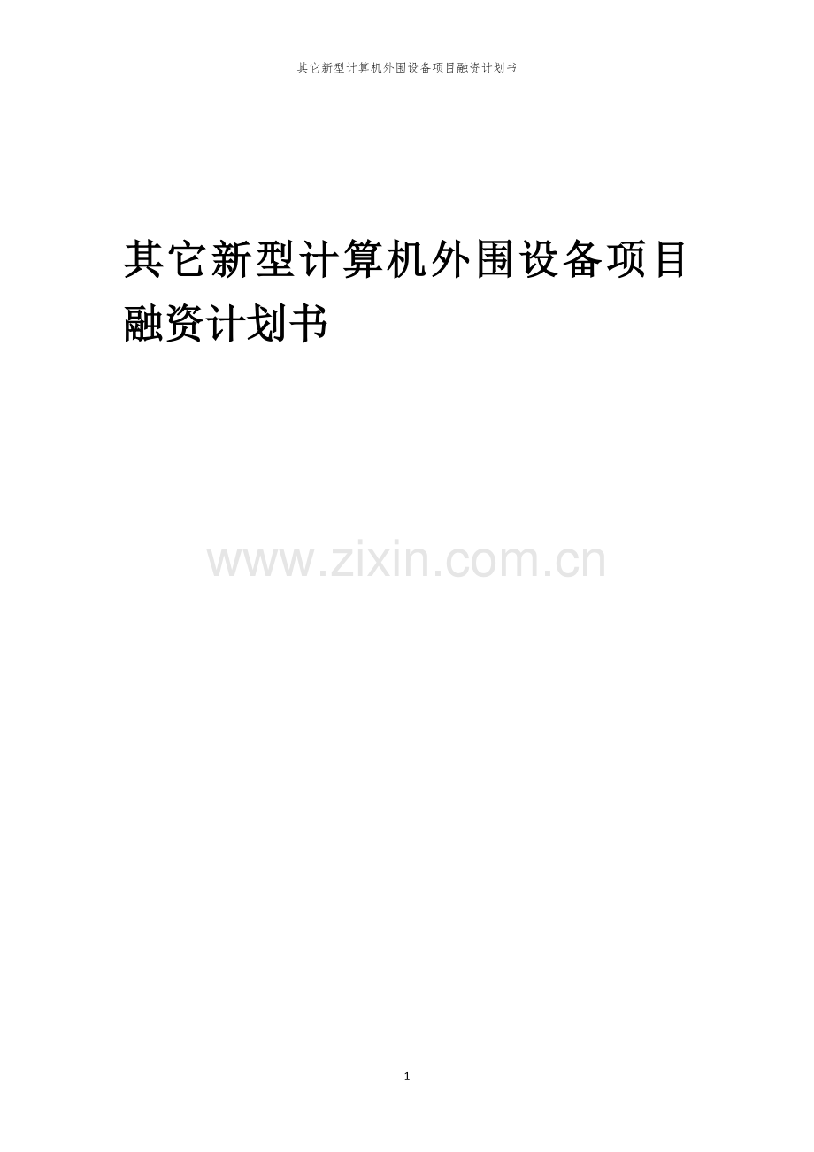 其它新型计算机外围设备项目融资计划书.docx_第1页