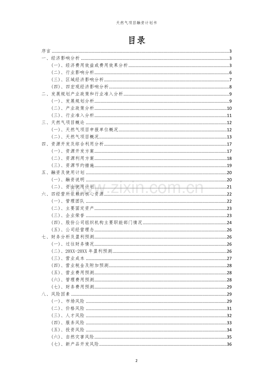 天然气项目融资计划书.docx_第2页