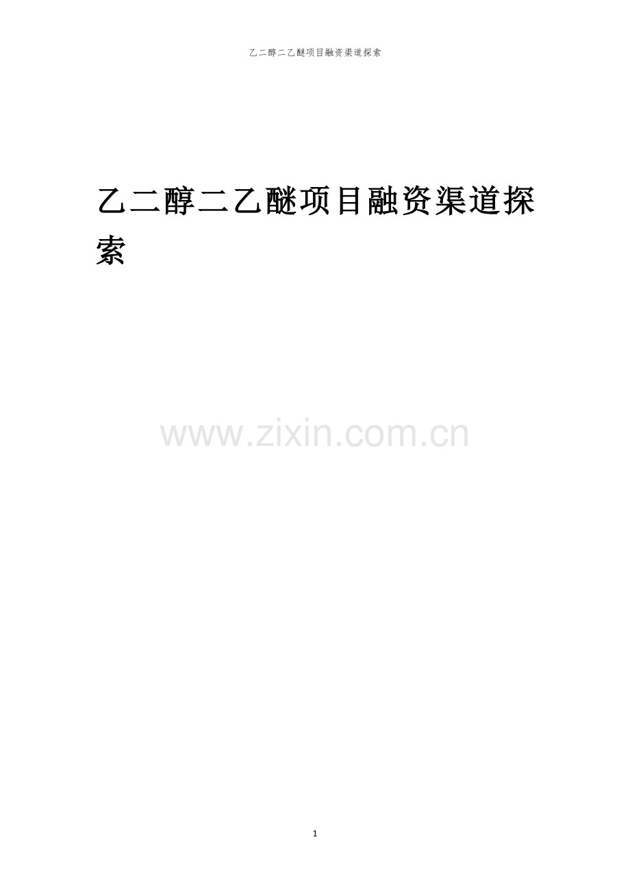 乙二醇二乙醚项目融资渠道探索.docx_第1页