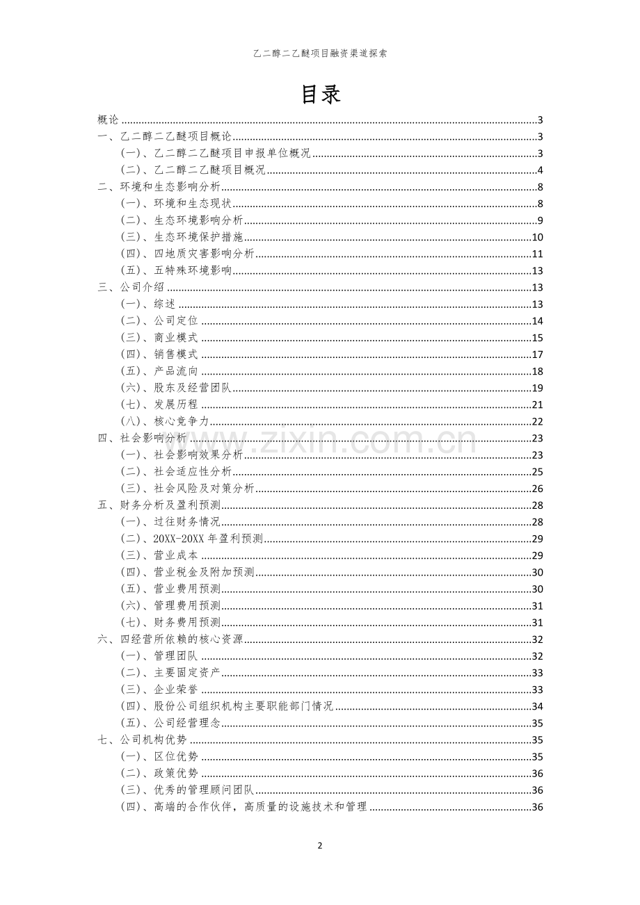 乙二醇二乙醚项目融资渠道探索.docx_第2页