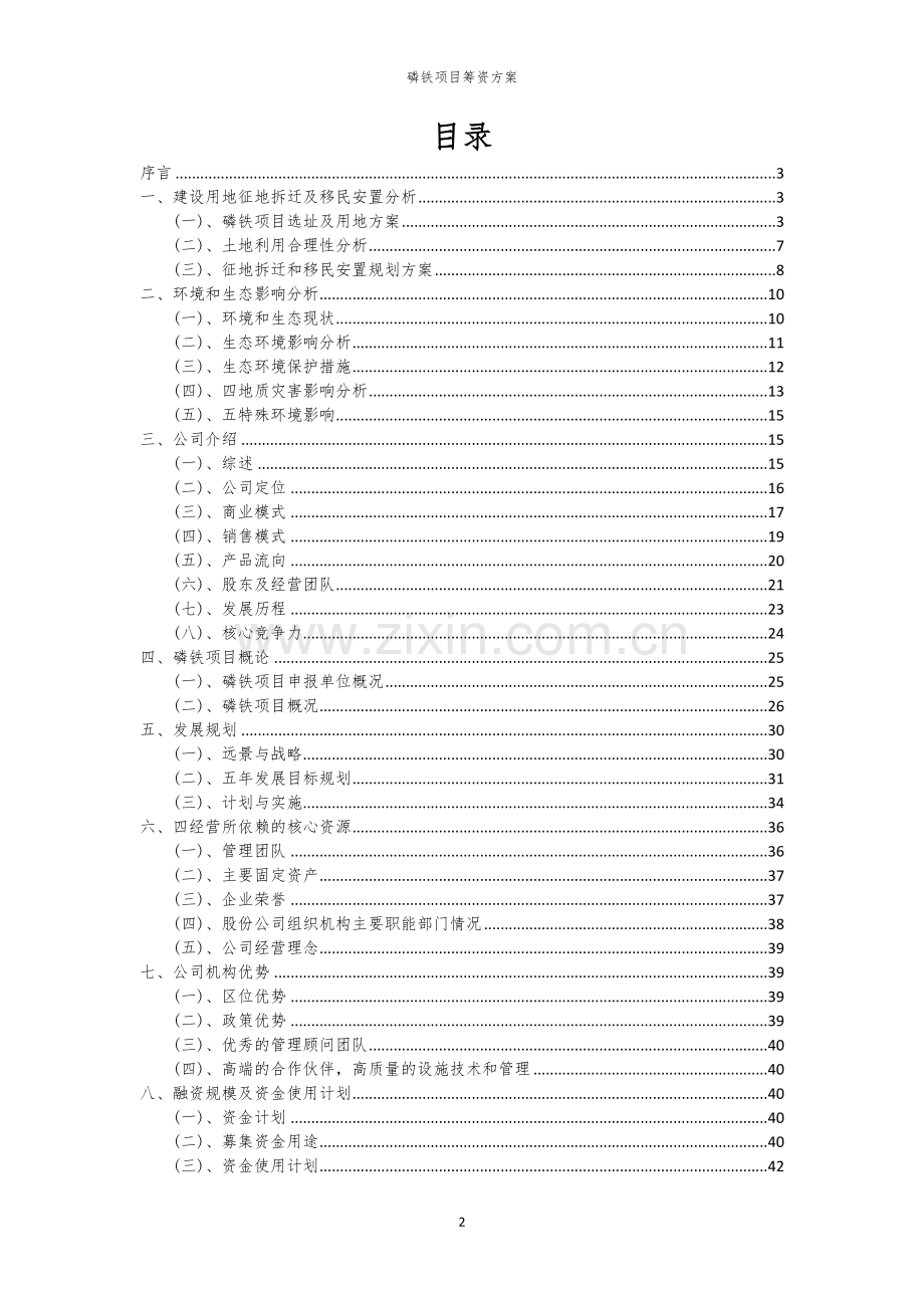 磷铁项目筹资方案.docx_第2页